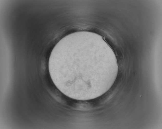 X0000111860215200908201304