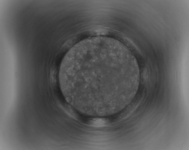 X0000111860218200908201304