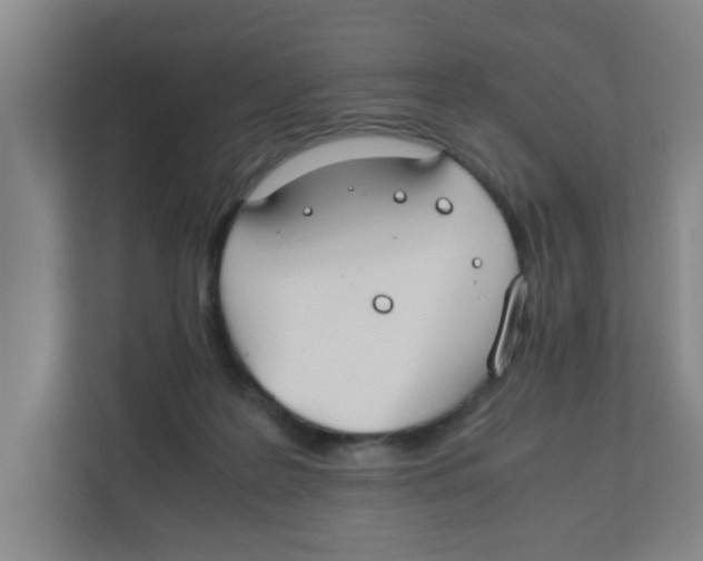 X0000111860219200908201304