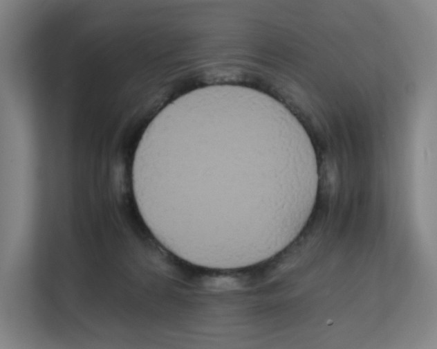 X0000111860224200908201304