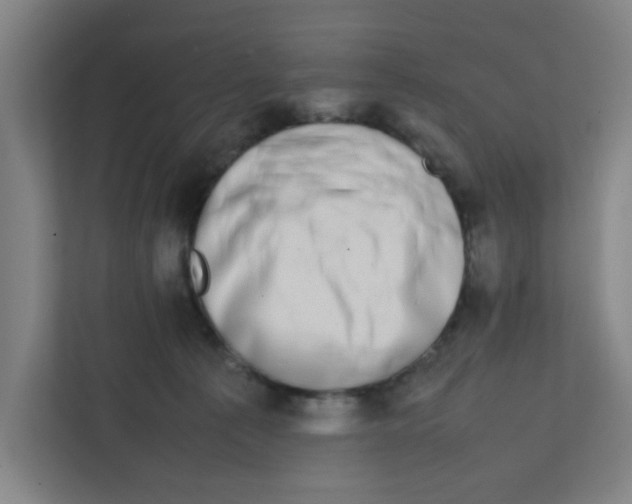 X0000111860225200908201304