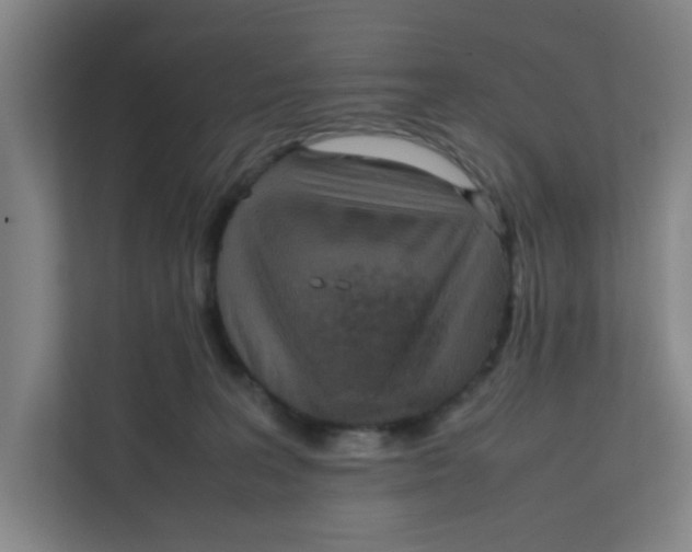 X0000111860227200908201304