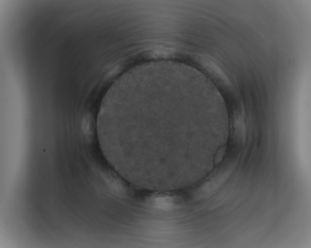 X0000111860228200908201304
