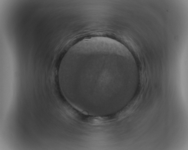 X0000111860229200908201304