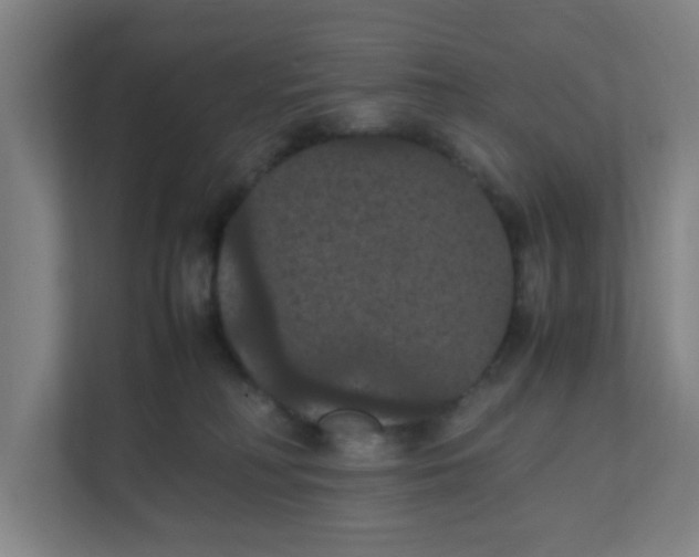 X0000111860230200908201304