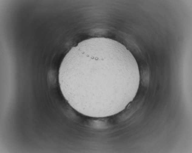 X0000111860232200908201304