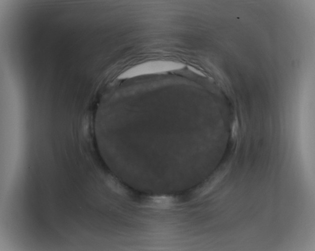 X0000111860233200908201304