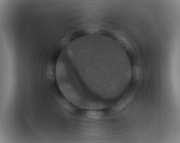 X0000111860234200908201304