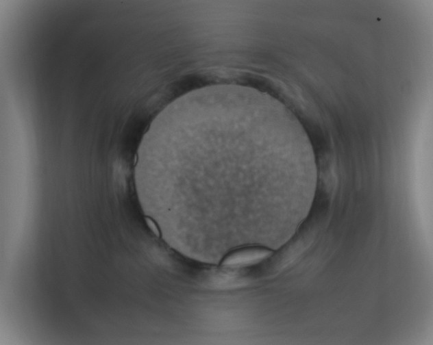 X0000111860235200908201304