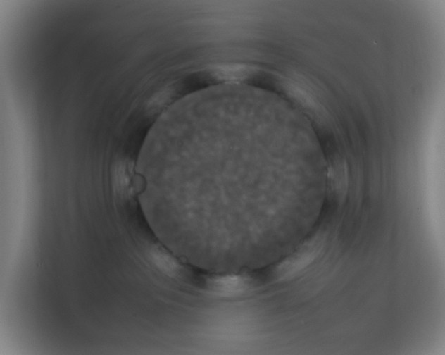 X0000111860237200908201304