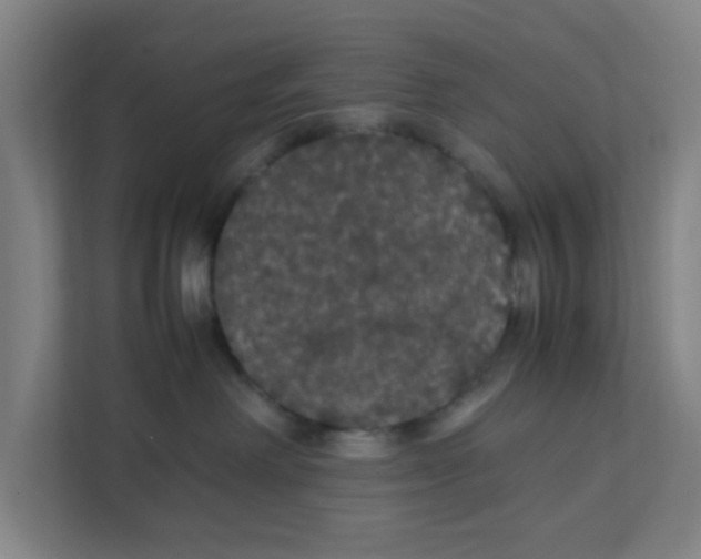 X0000111860238200908201304