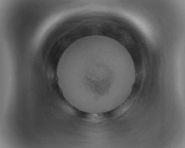 X0000111860239200908201304