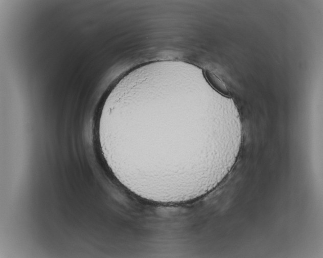 X0000111860242200908201303