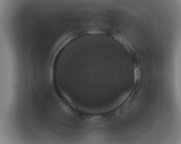 X0000111860243200908201303