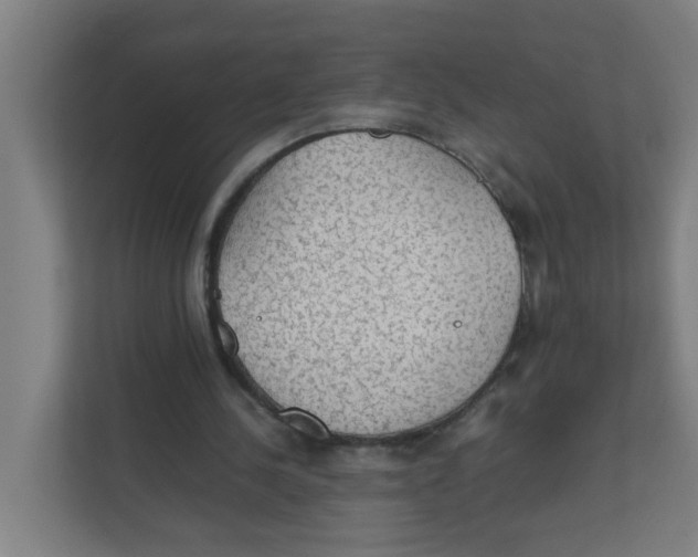 X0000111860244200908201303