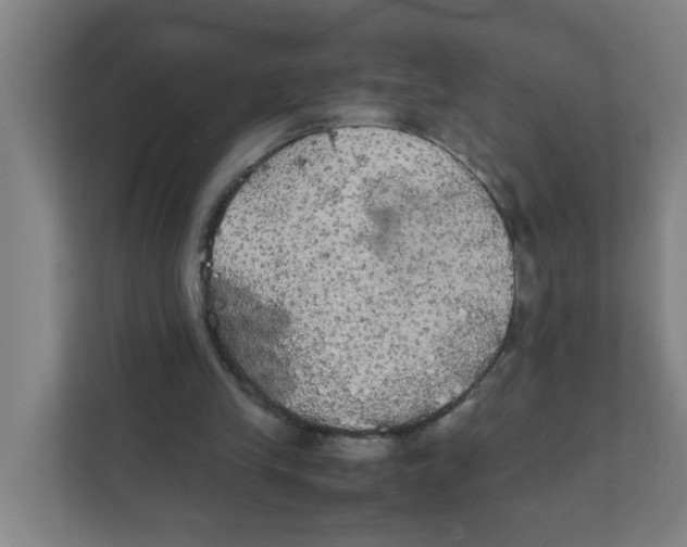 X0000111860245200908201303