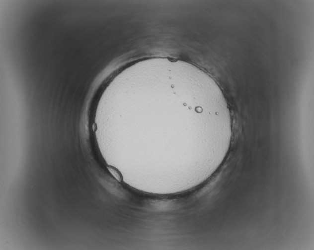X0000111860246200908201303