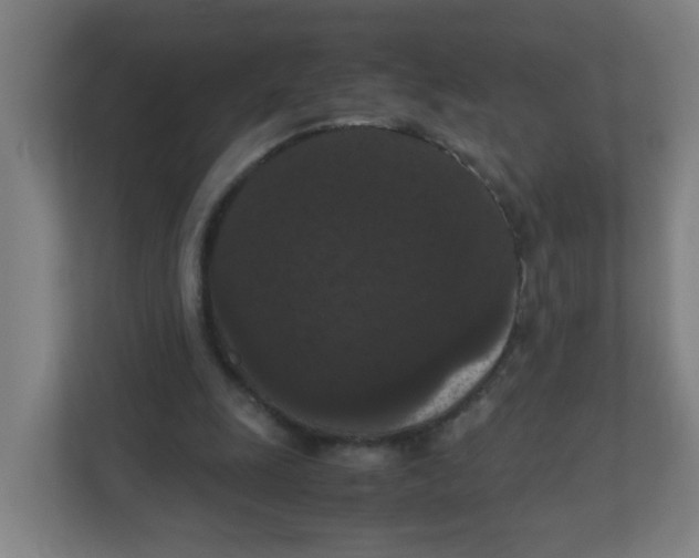 X0000111860247200908201303