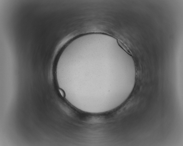 X0000111860248200908201303