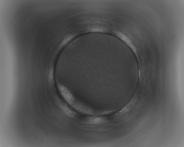X0000111860249200908201303