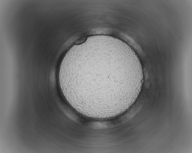 X0000111860250200908201303