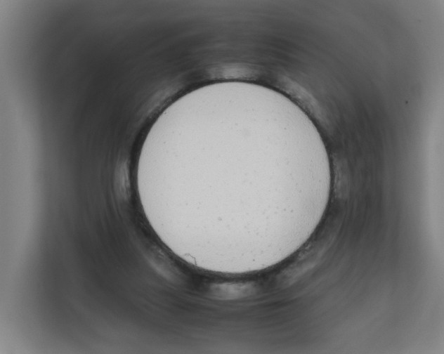X0000111860251200908201303