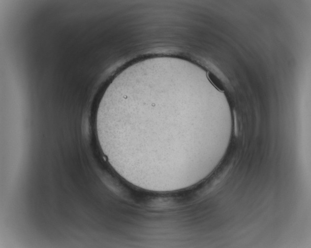 X0000111860252200908201303