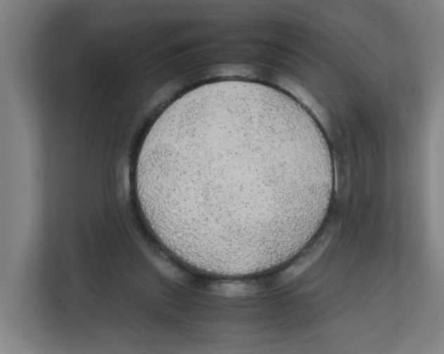 X0000111860253200908201303
