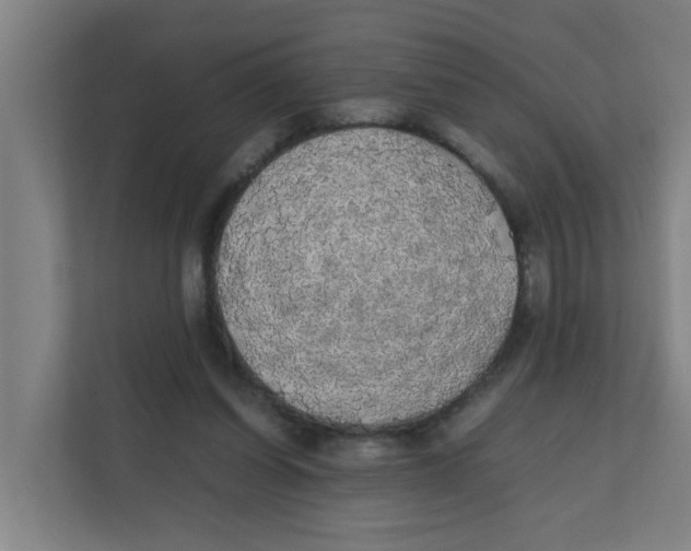 X0000111860254200908201303