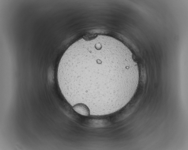 X0000111860255200908201303
