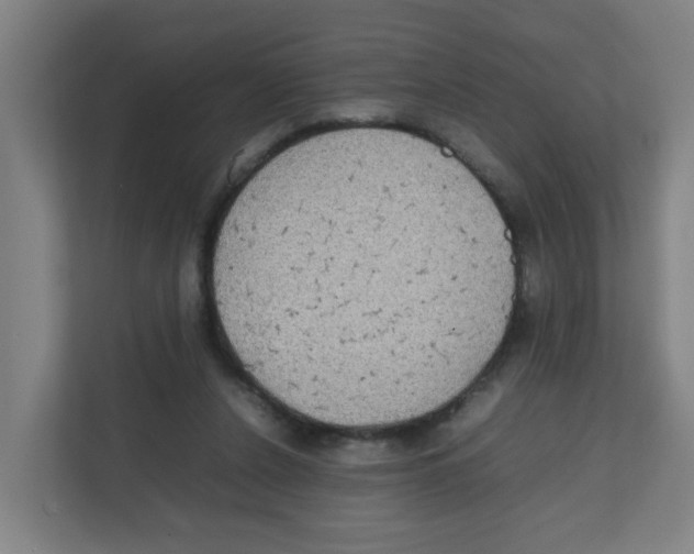 X0000111860256200908201303