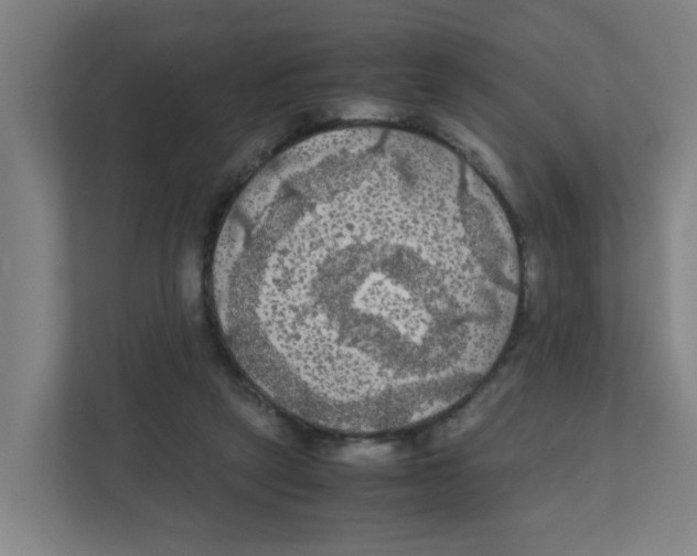 X0000111860257200908201303
