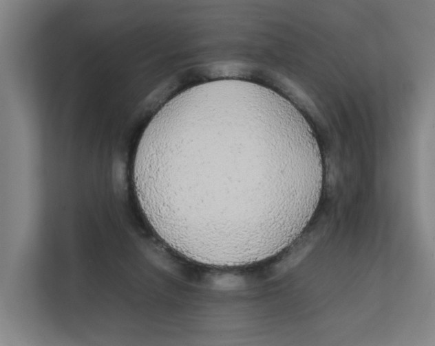 X0000111860258200908201303