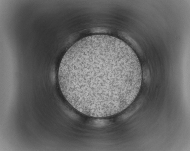 X0000111860261200908201303