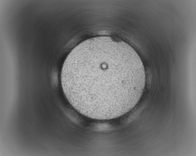 X0000111860262200908201303