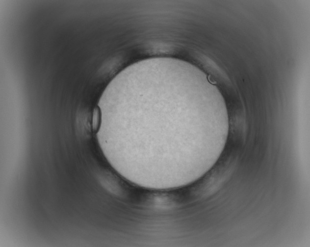 X0000111860264200908201303