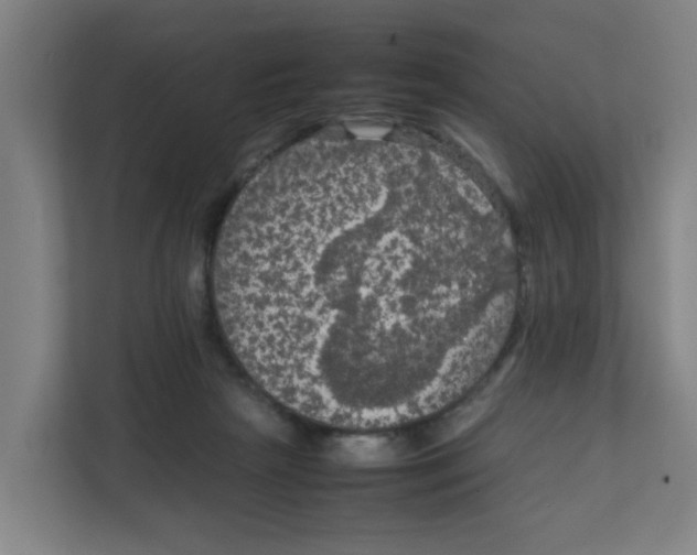 X0000111860265200908201303