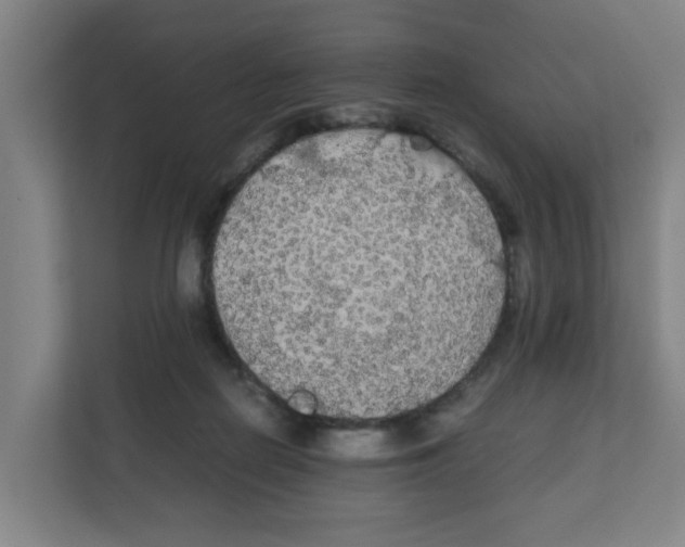 X0000111860266200908201303