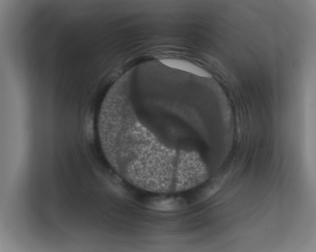 X0000111860267200908201303