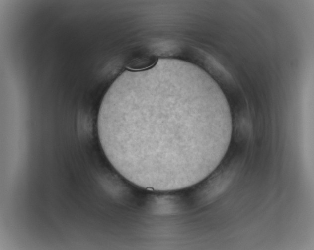 X0000111860268200908201303