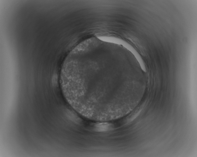 X0000111860269200908201303