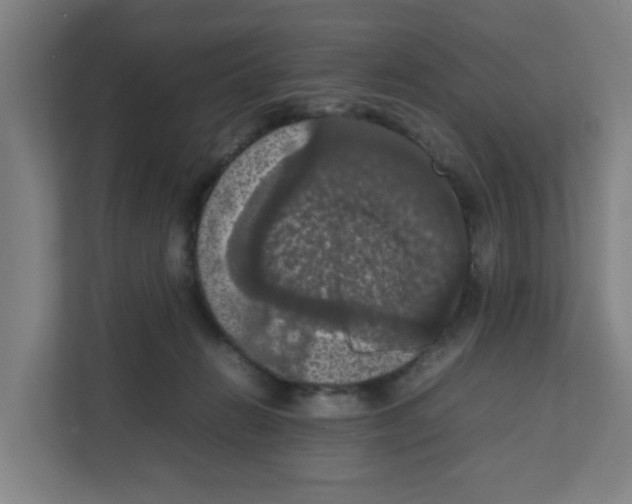 X0000111860270200908201304