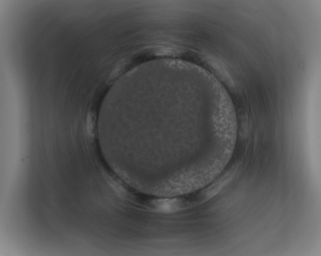 X0000111860273200908201304