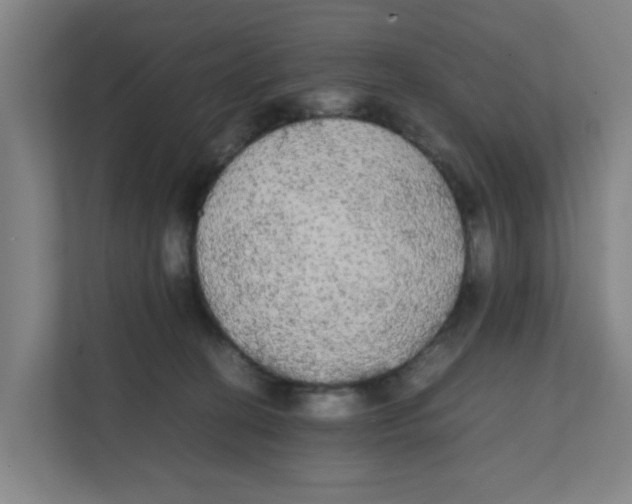 X0000111860274200908201304