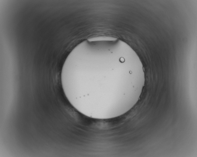 X0000111860276200908201304