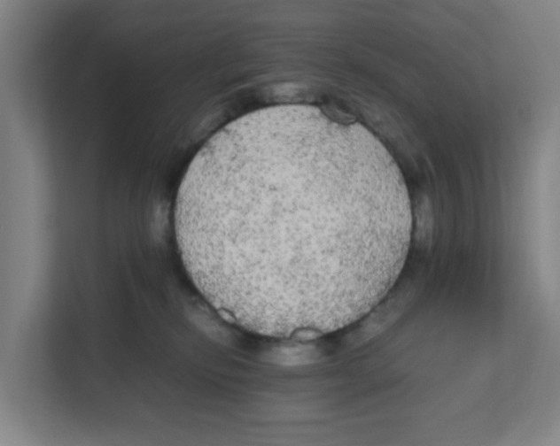 X0000111860278200908201304