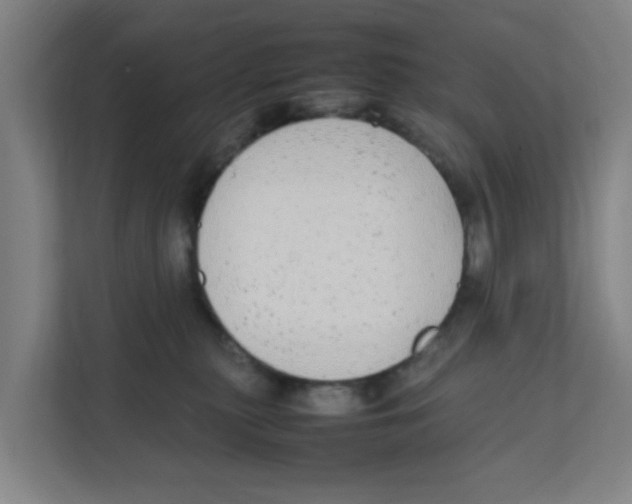 X0000111860279200908201304