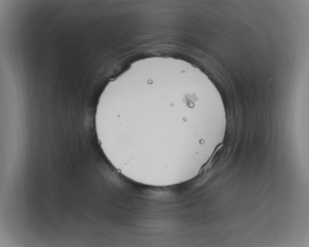 X0000111860284200908201304