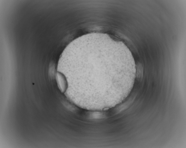 X0000111860287200908201304
