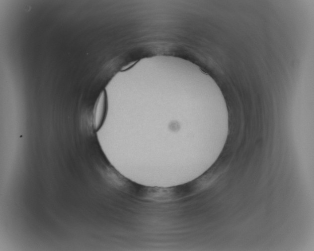X0000111860288200908201304